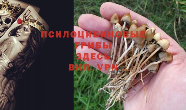 2c-b Навашино