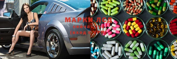 ГАЛЛЮЦИНОГЕННЫЕ ГРИБЫ Наволоки
