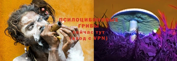 2c-b Навашино