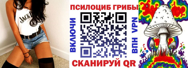 закладка  Уварово  Псилоцибиновые грибы Cubensis 