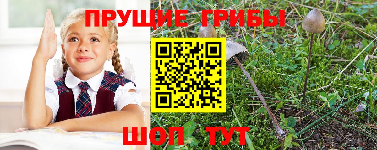 Галлюциногенные грибы GOLDEN TEACHER  Вход с VPN  Псилоцибиновые грибы Cubensis  Уварово 