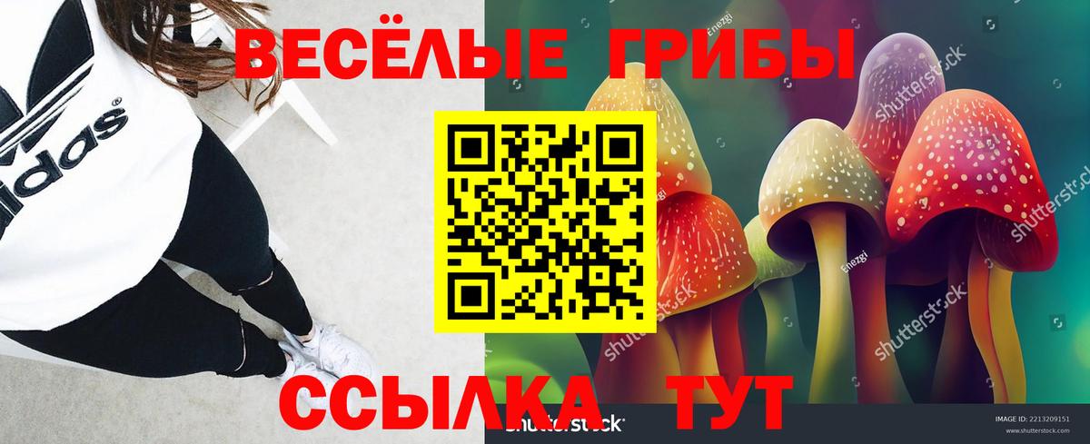 Галлюциногенные грибы Psilocybine cubensis Уварово